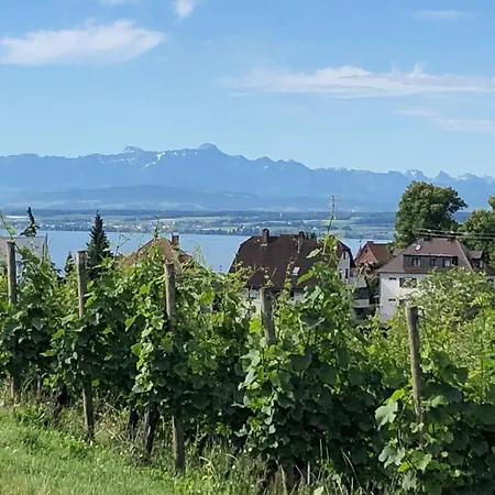 Finkenweg Apartment Meersburg